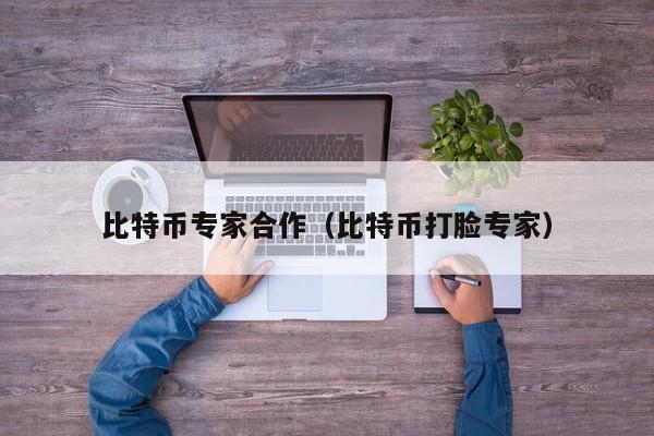 比特币专家合作(比特币打脸专家)