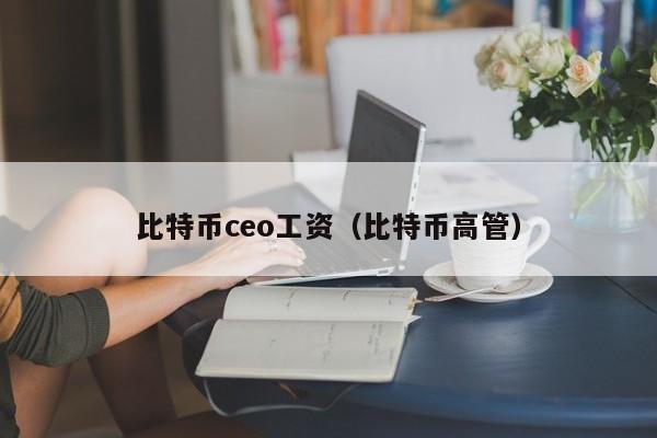 比特币ceo工资(比特币高管)