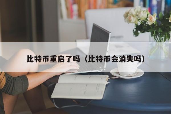比特币重启了吗(比特币会消失吗)